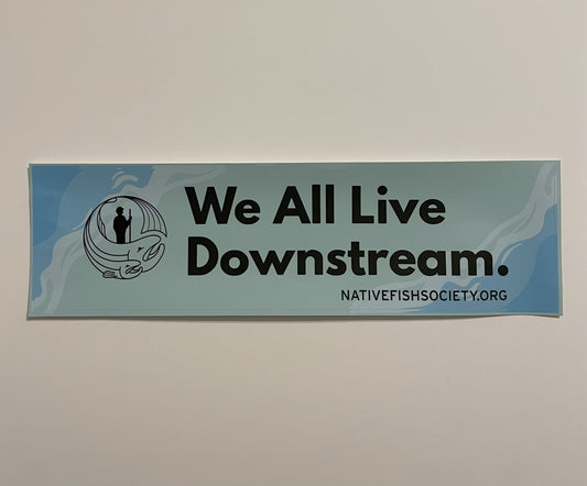 Native Fish Society Sticker - We All Live Downstream